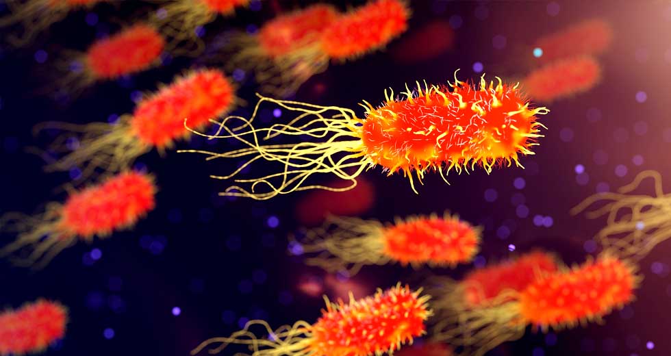 What I learned from 1000 patients suffering from headaches